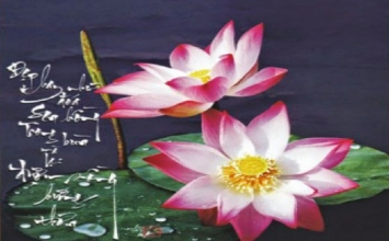 Lời khuyên tốt nghe không êm tai